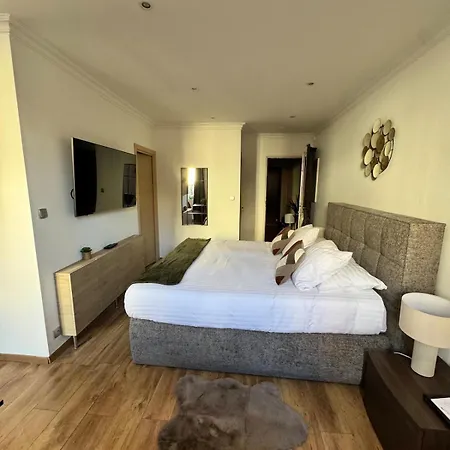 King Size Rue Felix Faure 100 M Palais Et * Cannes