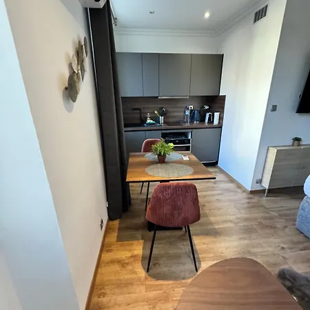 Lägenhet King Size Rue Felix Faure 100 M Palais Et *