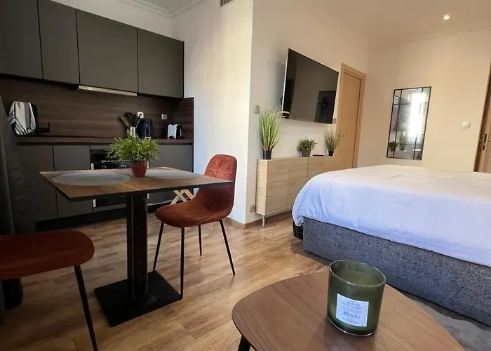 King Size Rue Felix Faure 100 M Palais Et *