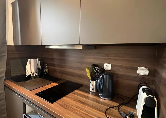 Lägenhet King Size Rue Felix Faure 100 M Palais Et Cannes